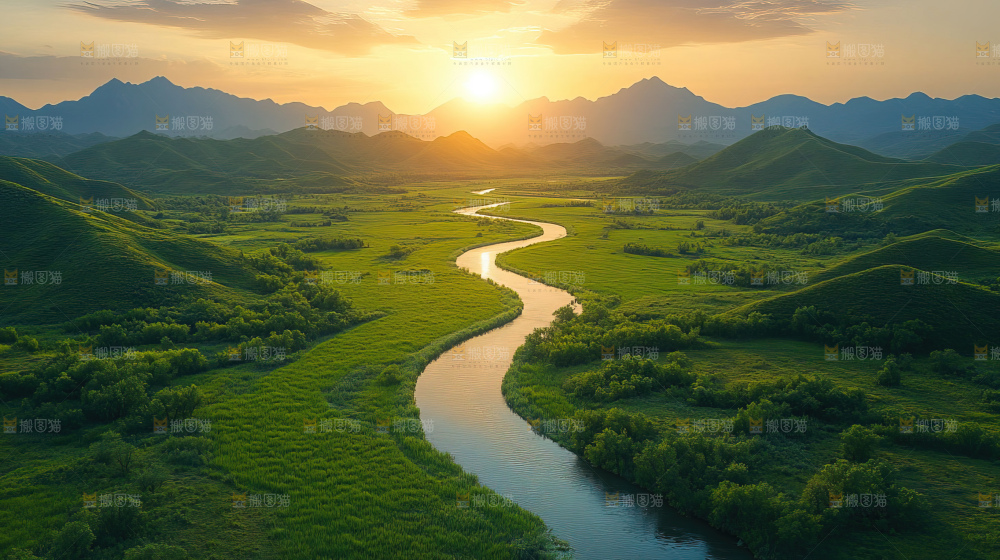 湿地栖息地沼泽自然环境保护区森林绿色