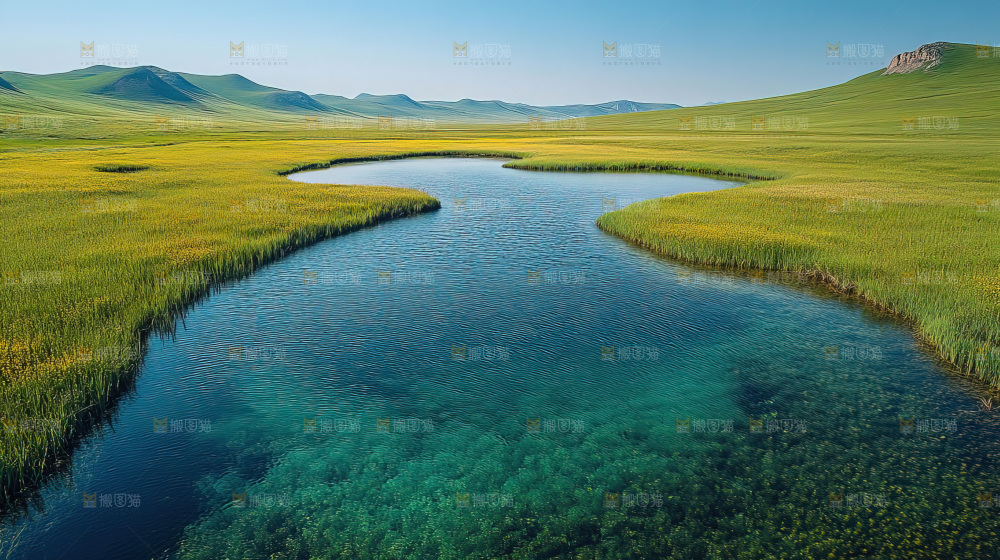 湿地栖息地沼泽自然环境保护区森林绿色