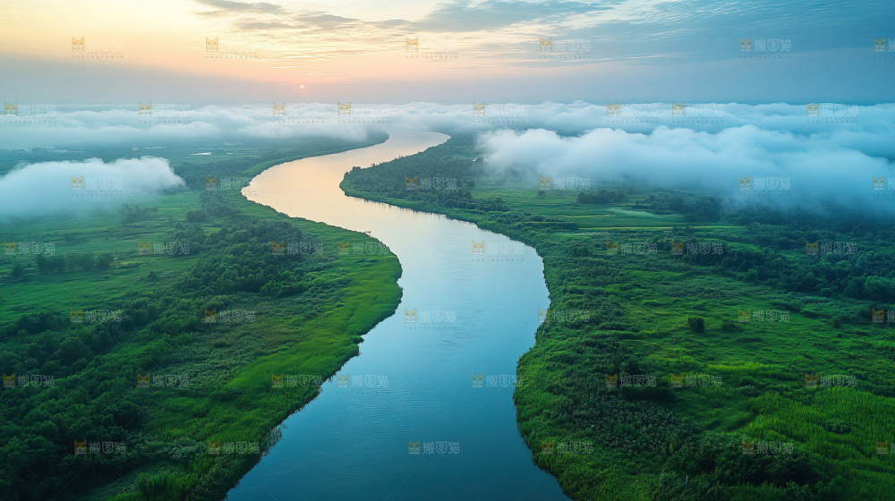 湿地栖息地沼泽自然环境保护区森林绿色