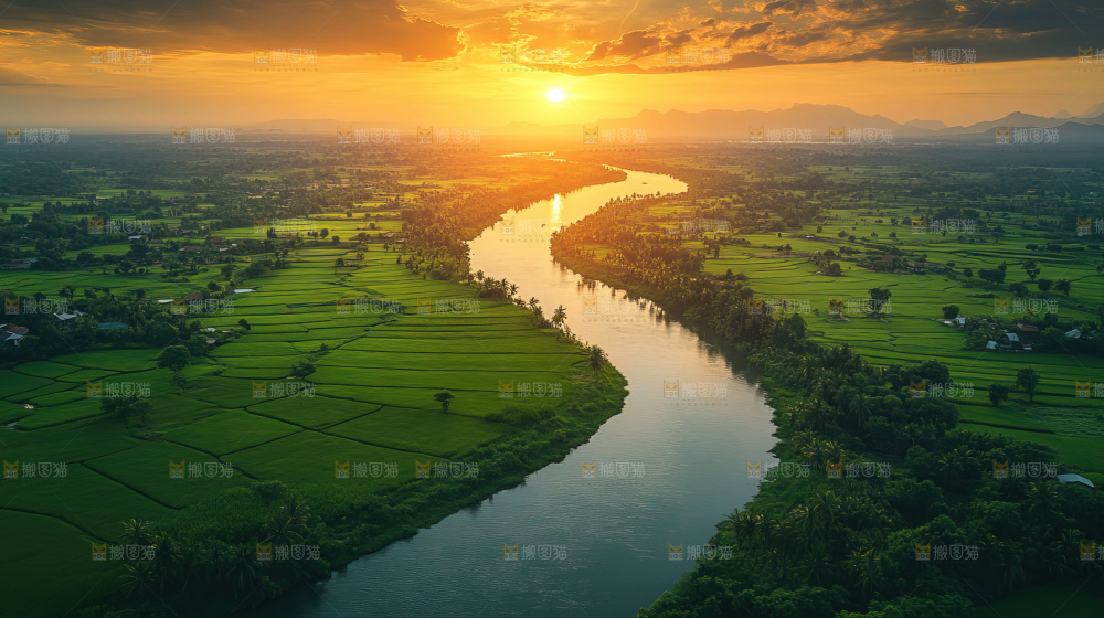 湿地栖息地沼泽自然环境保护区森林绿色