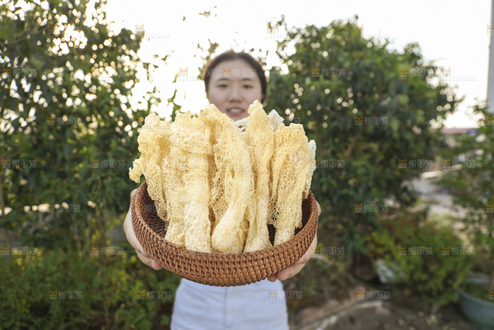 竹荪