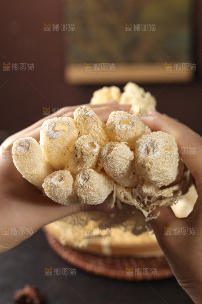 竹荪