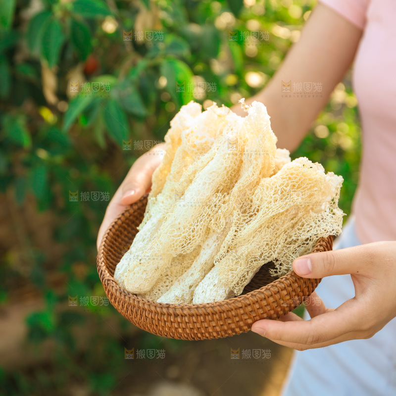 竹荪