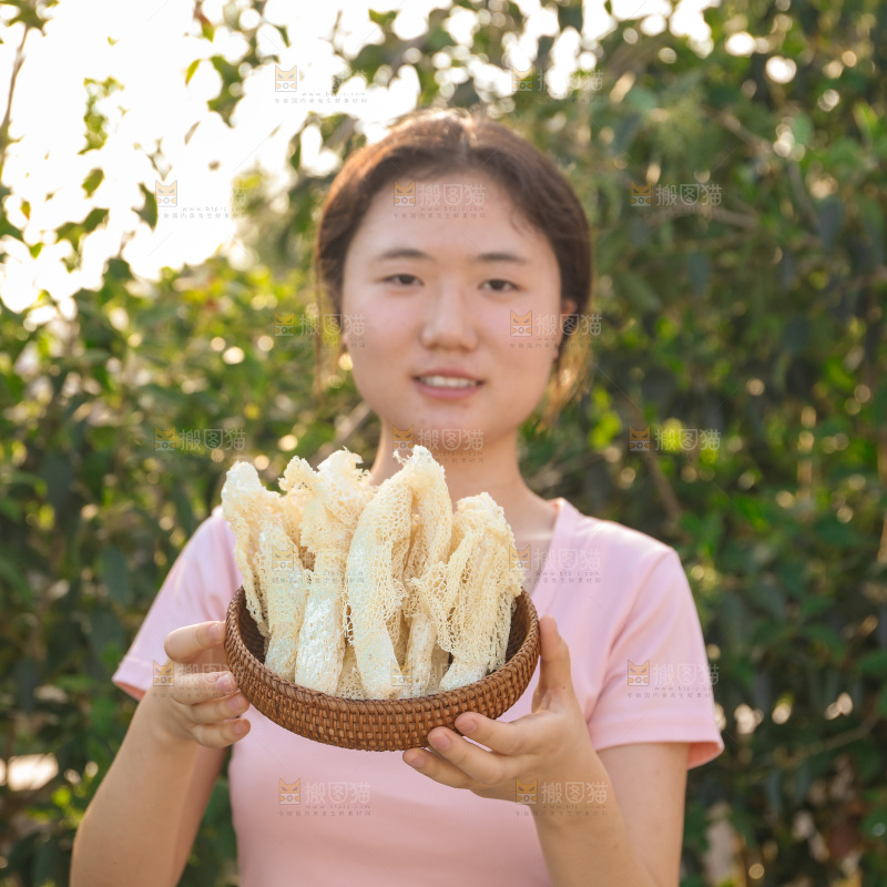 竹荪