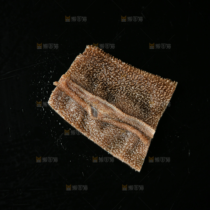 毛肚