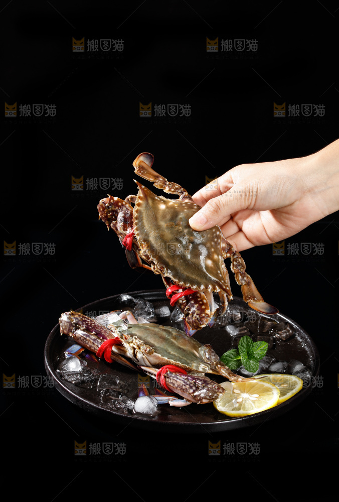 梭子蟹