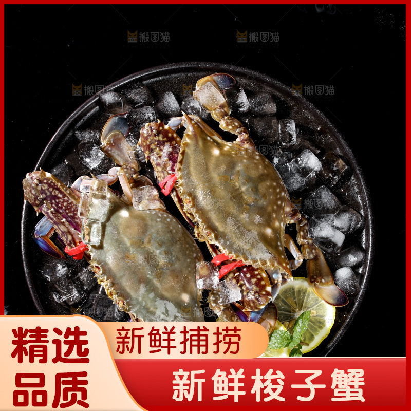 梭子蟹