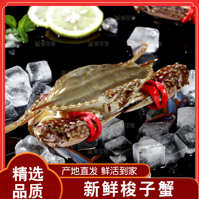 梭子蟹