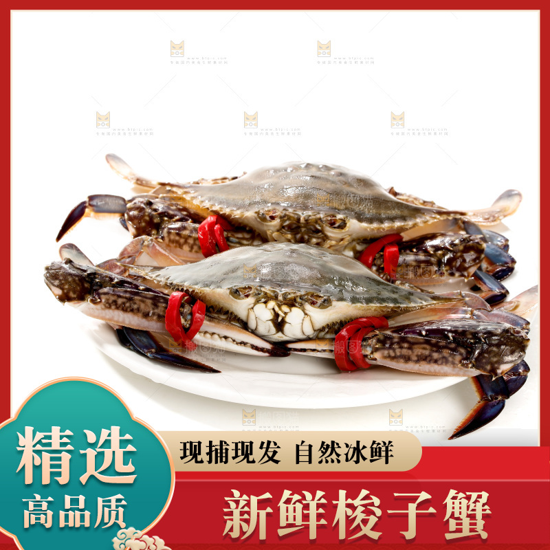 梭子蟹