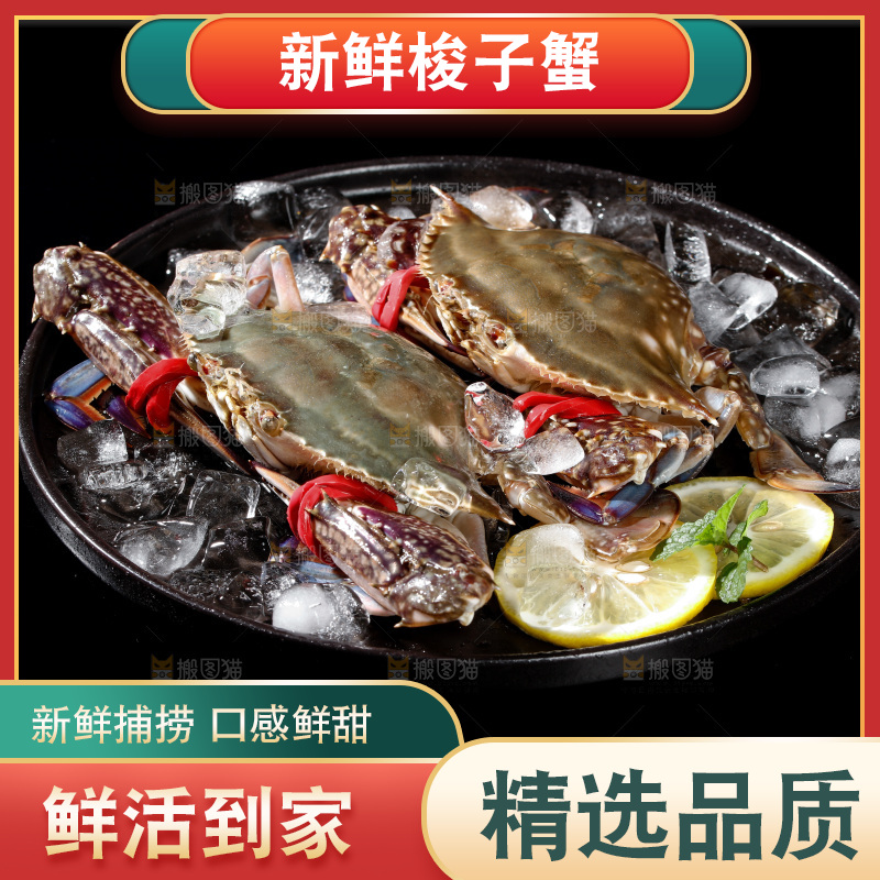 梭子蟹