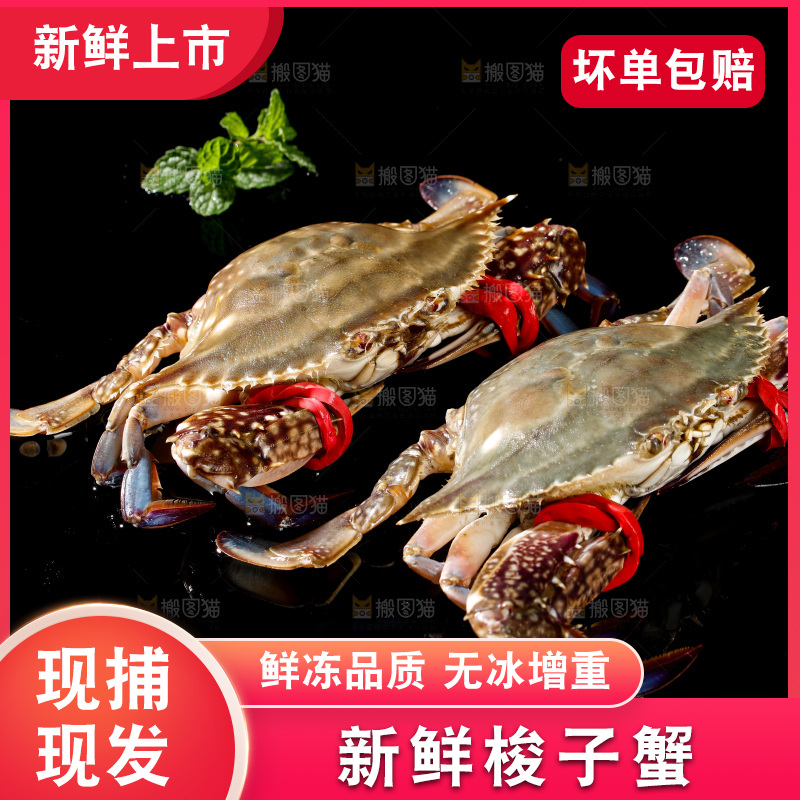 梭子蟹