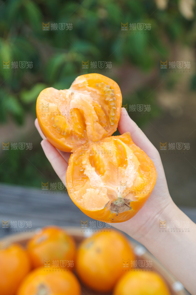 五原黄柿子