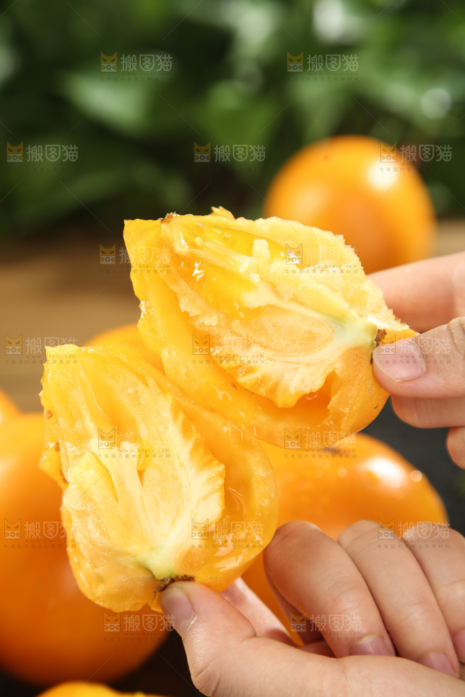 五原黄柿子