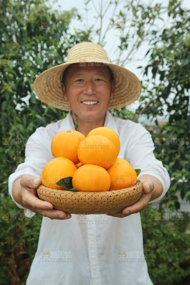 五原黄柿子