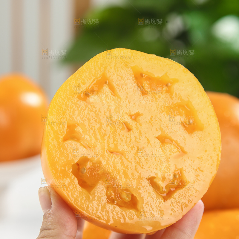五原黄柿子