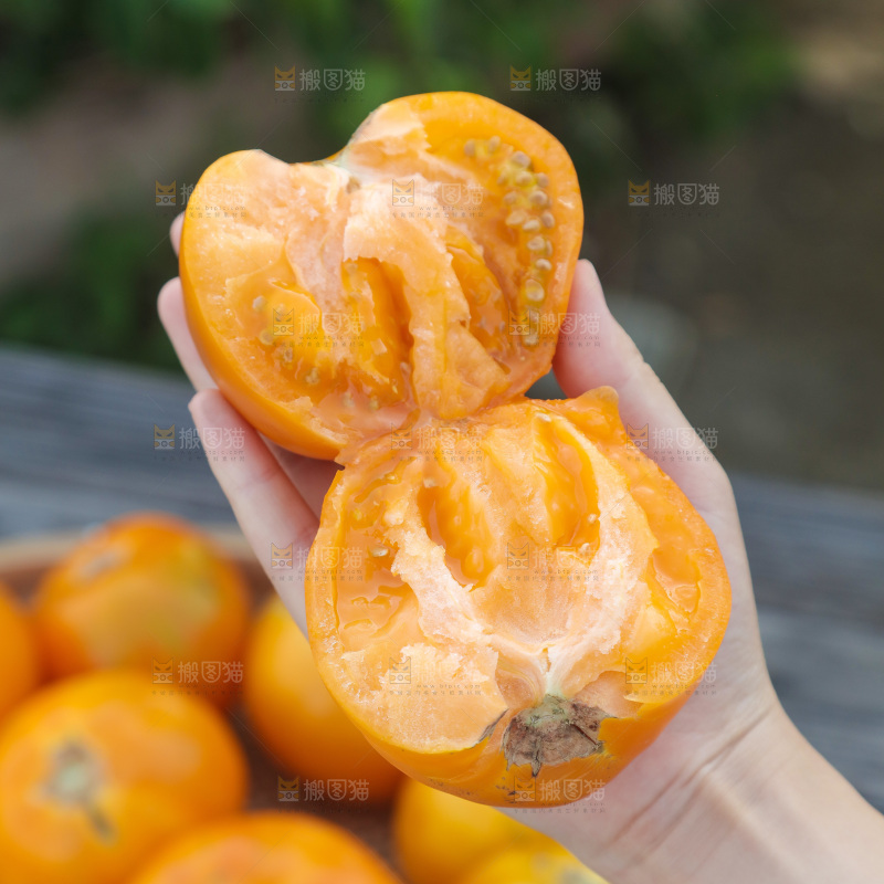 五原黄柿子