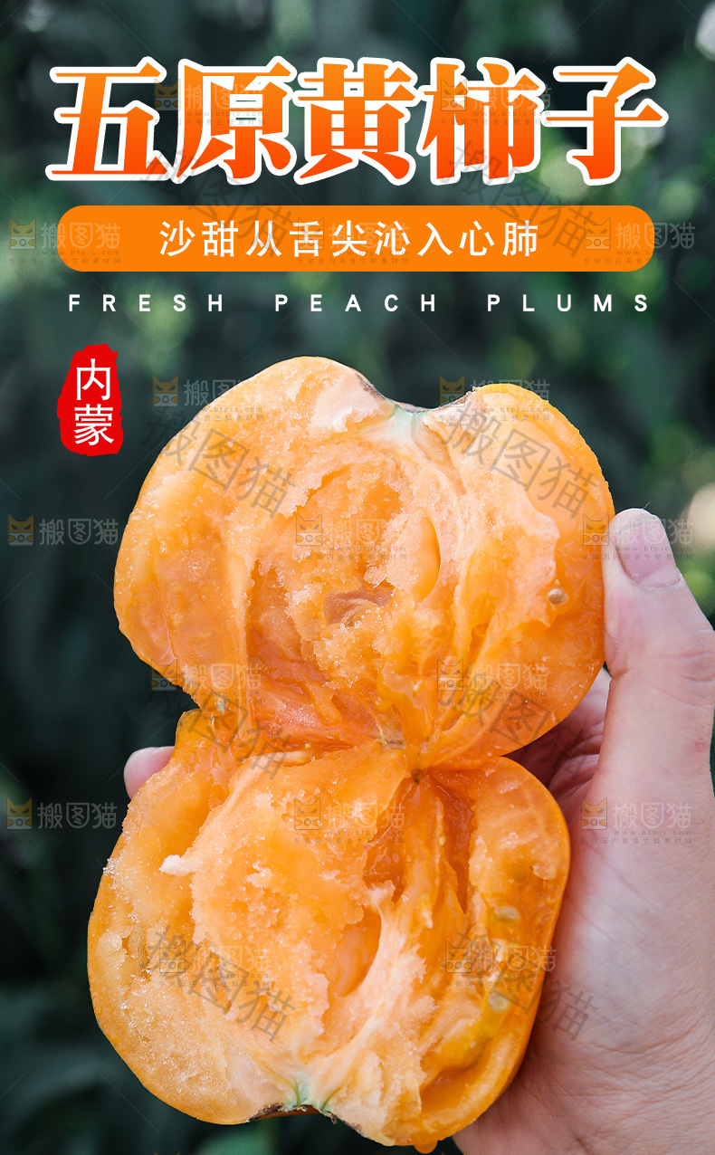 五原黄柿子详情页