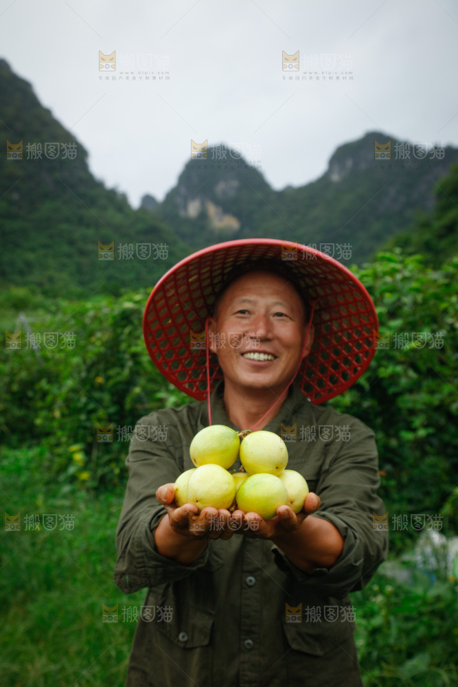 百香果产地