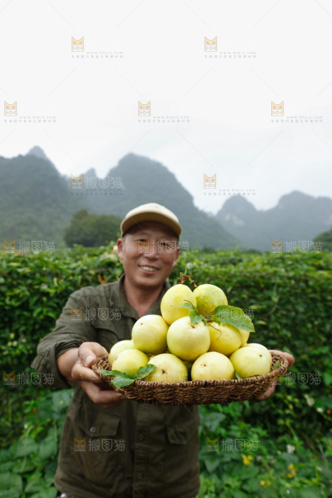 百香果产地