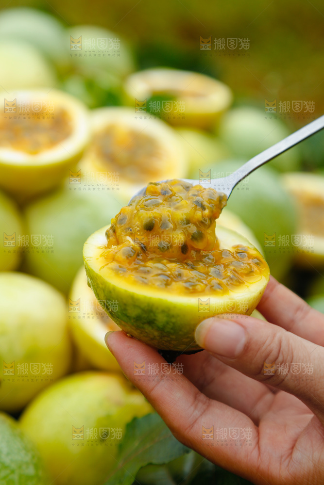 百香果产地