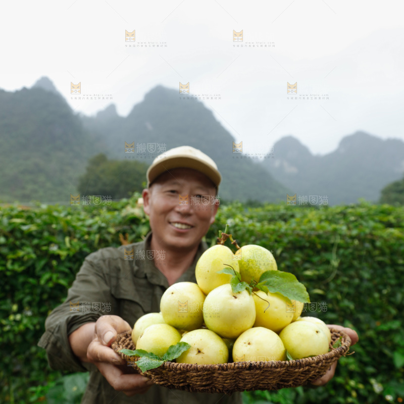 百香果产地