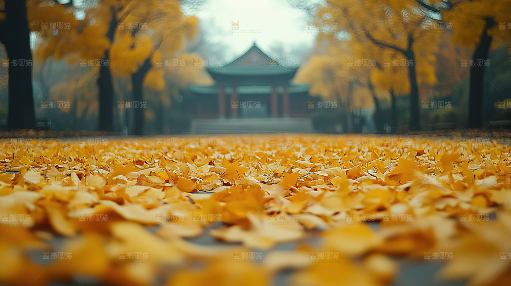 秋日落叶景观场景建筑素材