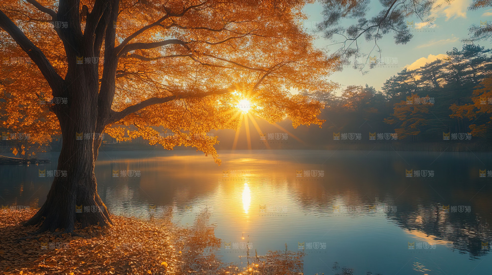 秋日落叶景观场景建筑素材