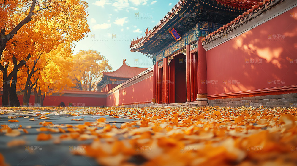 秋日落叶景观场景建筑素材