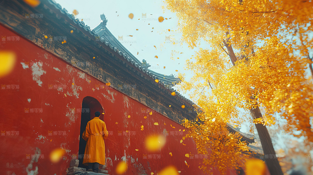 秋日落叶景观场景建筑素材