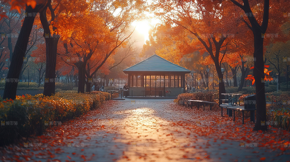 秋日落叶景观场景建筑素材