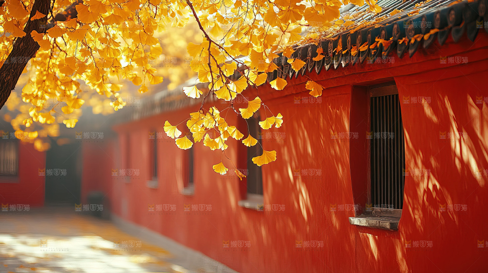 秋日落叶景观场景建筑素材