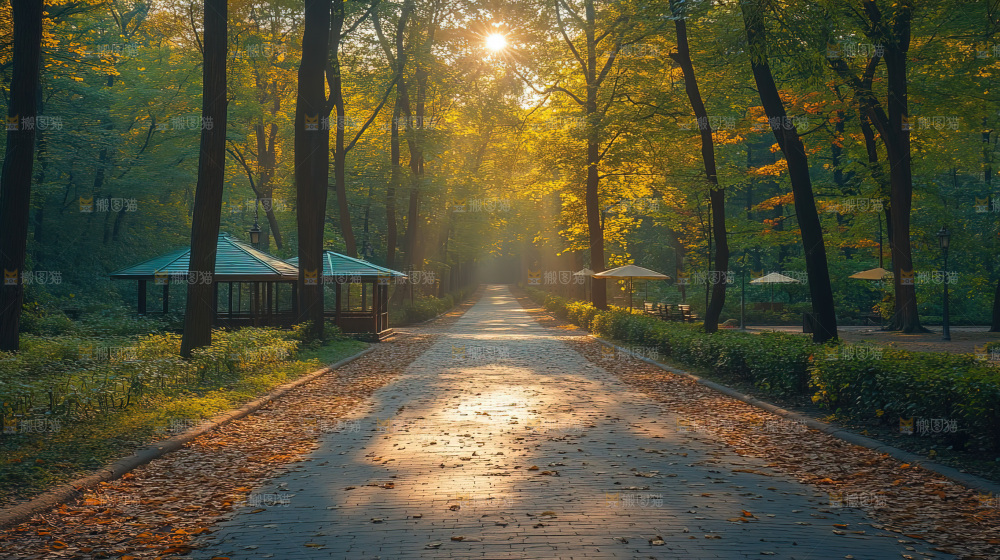 秋日落叶景观场景建筑素材