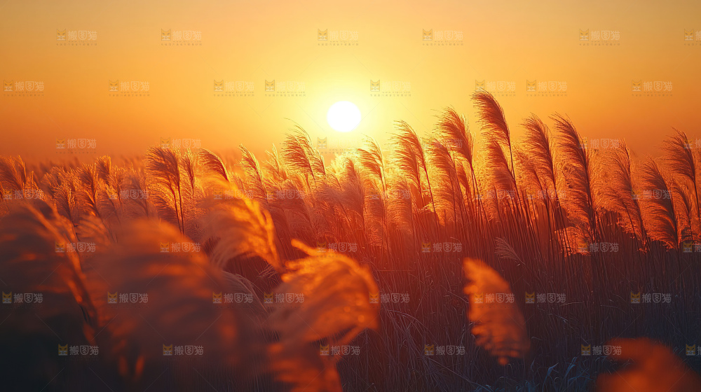 秋日落叶景观场景建筑素材