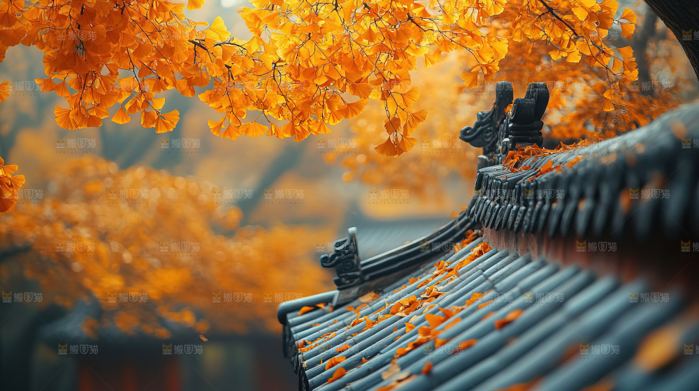 秋日落叶景观场景建筑素材