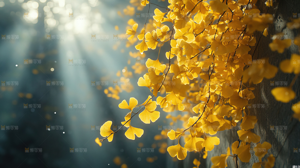 秋日落叶景观场景建筑素材