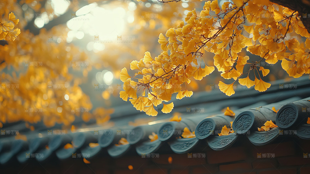 秋日落叶景观场景建筑素材