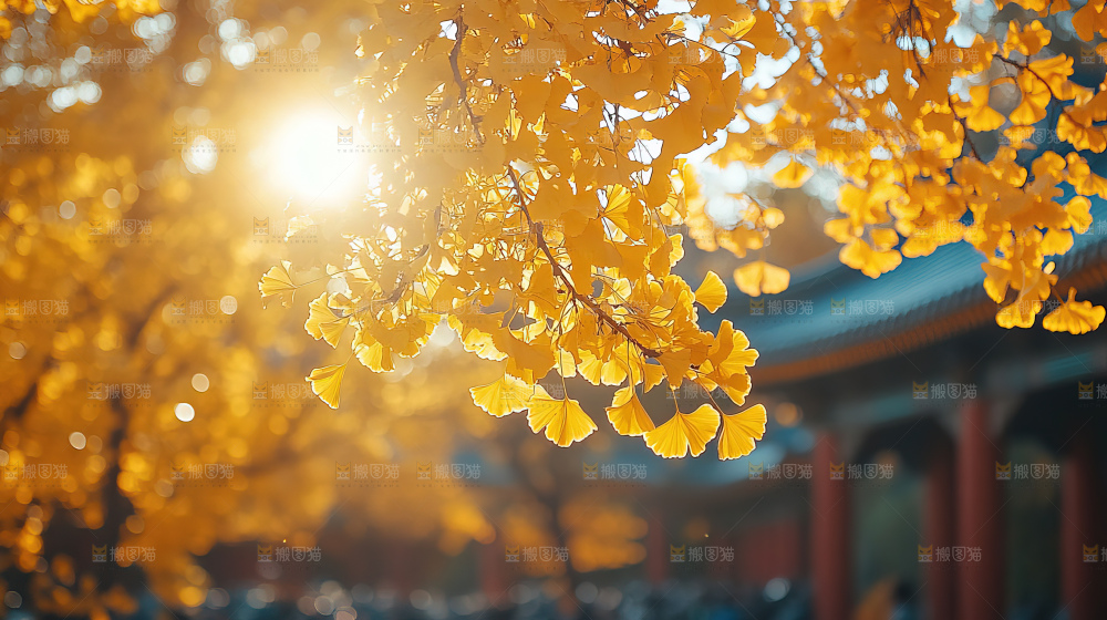 秋日落叶景观场景建筑素材