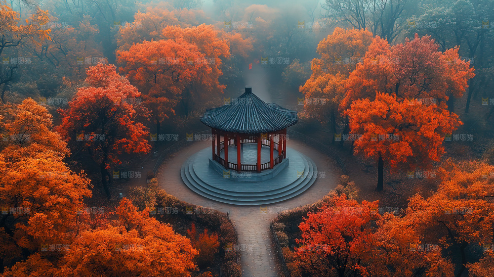 秋日落叶景观场景建筑素材