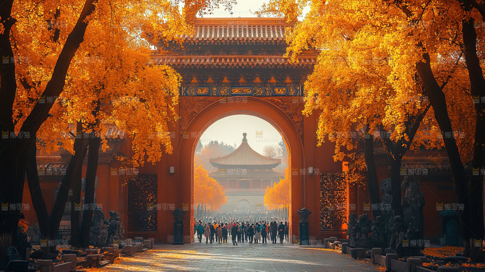 秋日落叶景观场景建筑素材