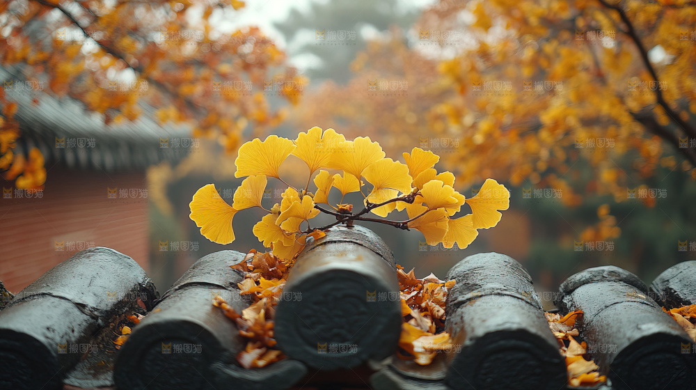 秋日落叶景观场景建筑素材
