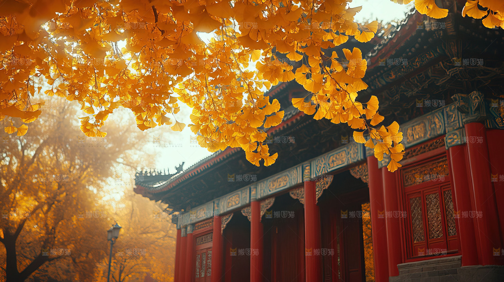 秋日落叶景观场景建筑素材