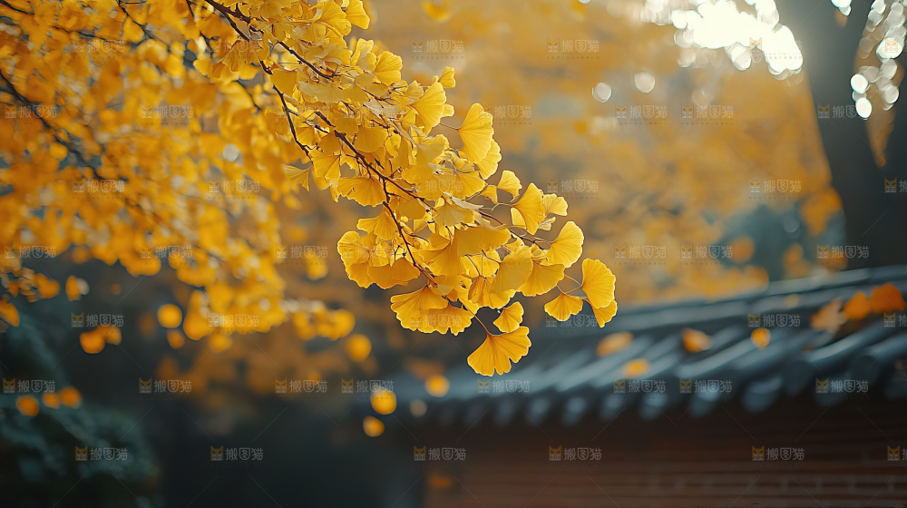 秋日落叶景观场景建筑素材
