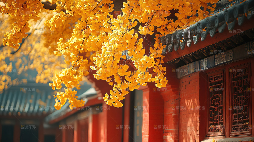 秋日落叶景观场景建筑素材