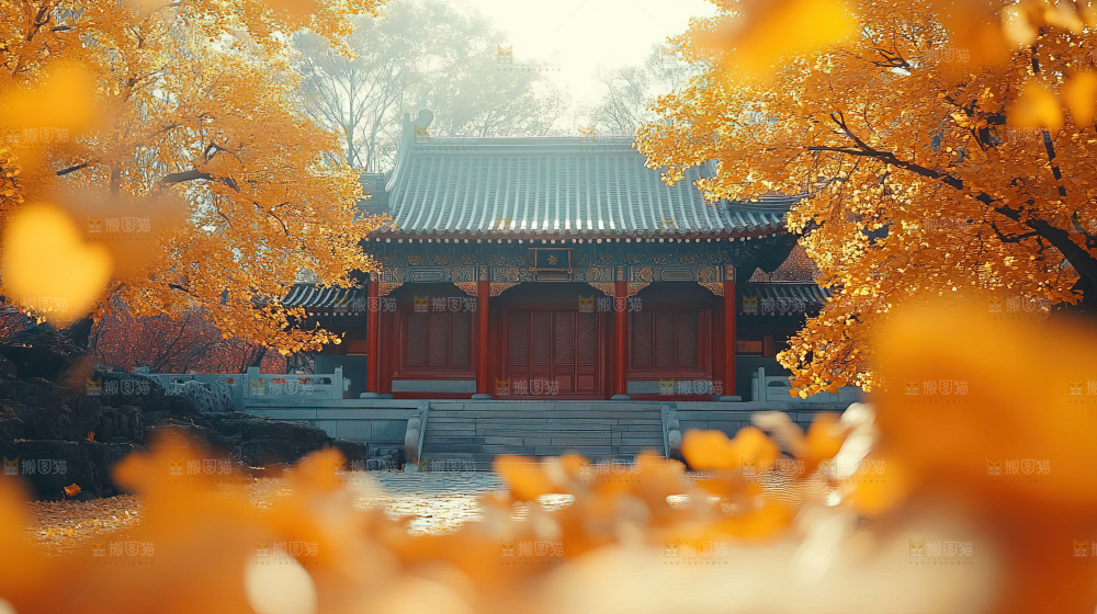 秋日落叶景观场景建筑素材