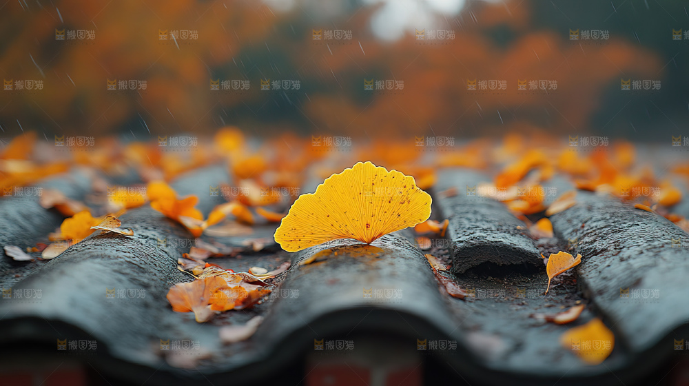 秋日落叶景观场景建筑素材