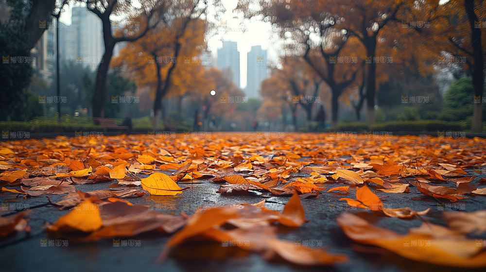 秋日落叶景观场景建筑素材