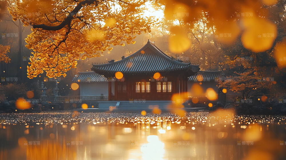秋日落叶景观场景建筑素材