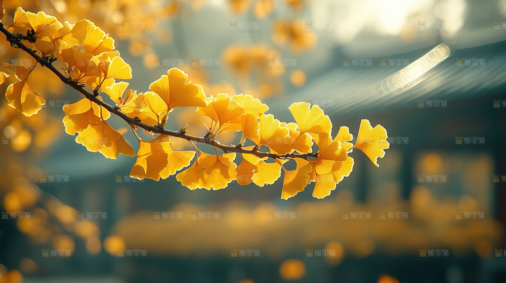 秋日落叶景观场景建筑素材