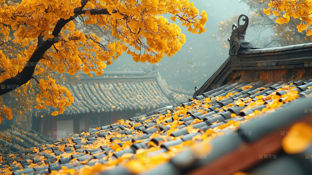 秋日落叶景观场景建筑素材