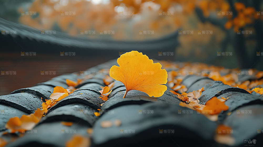 秋日落叶景观场景建筑素材